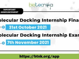 Molecular Docking Internship Finale