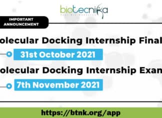 Molecular Docking Internship Finale