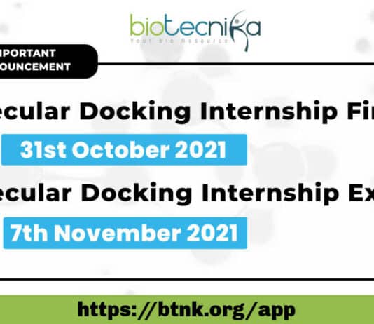 Molecular Docking Internship Finale