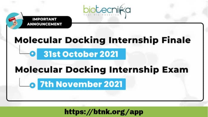 Molecular Docking Internship Finale