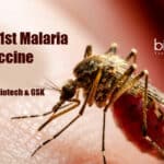Vaccine for malaria