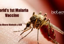 World’s First Malarial Vaccine To Be Produced By Bharat Biotech Vaccine for malaria