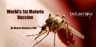 Vaccine for malaria