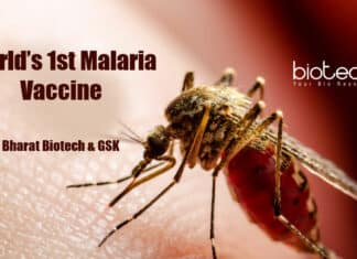 Vaccine for malaria