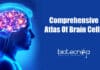 Comprehensive Atlas Of Brain Cells – A Neuroscience Dream First complete atlas of brain cells