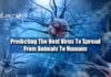 Predicting The Next Virus To Spread