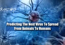 Predicting The Next Virus To Spread