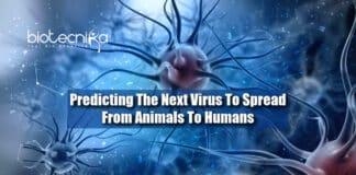 Predicting The Next Virus To Spread