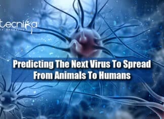 Predicting The Next Virus To Spread