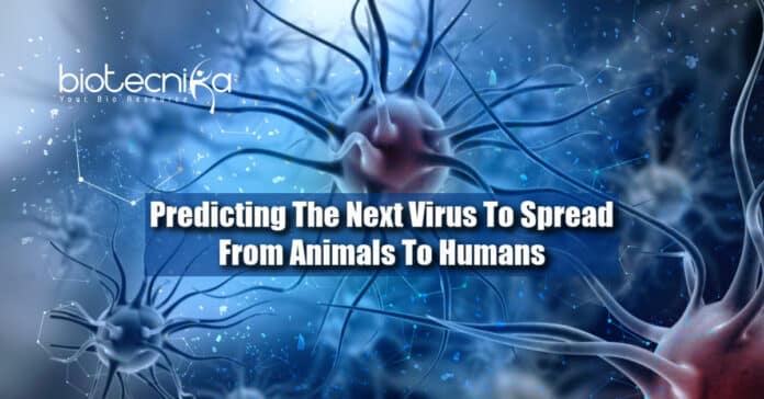 Predicting The Next Virus To Spread