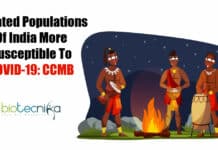 Small & Isolated Populations Of India More Vulnerable To COVID-19: CCMB Ethnic populations more susceptible to COVID-19