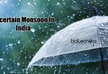 Agriculture Becoming A Victim Of Erratic Monsoon In India Uncertain Monsoon In India