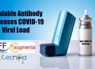 Inhalable anti-COVID-19 antibody