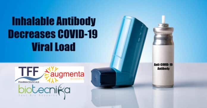 Inhalable anti-COVID-19 antibody