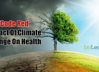 Impact Of Climate Change On Health