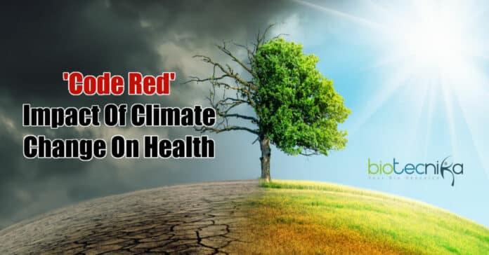 Impact Of Climate Change On Health