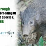 Breakthrough in genetic inbreeding