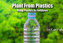 Breakthrough: Can We Use Plastics As Fertilizers?