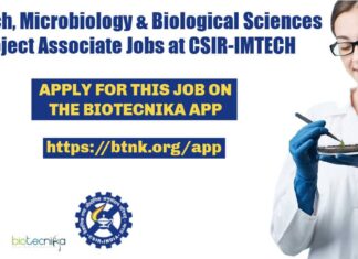 IMTECH Associate Job Openings