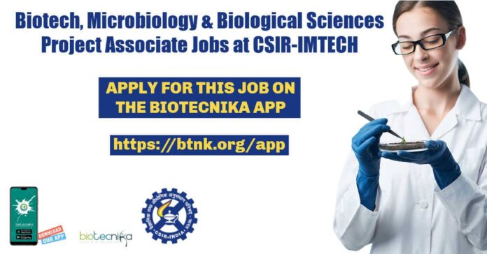 IMTECH Associate Job Openings