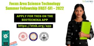 Focus Area Summer Fellowship