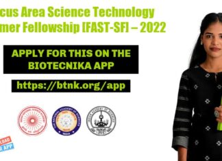 Focus Area Summer Fellowship