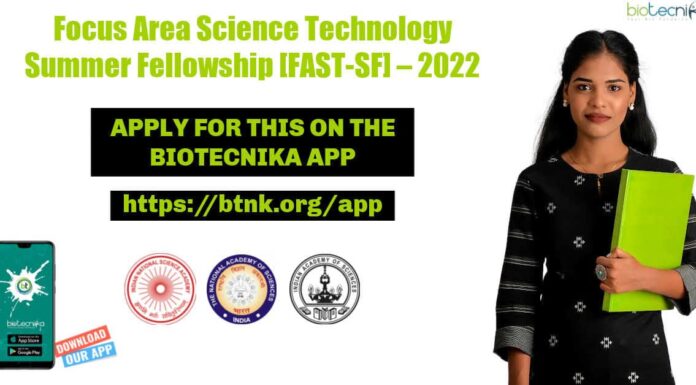 Focus Area Summer Fellowship