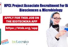 HPCL Project Associate Jobs