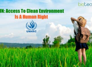 Human Right To Healthy Environment