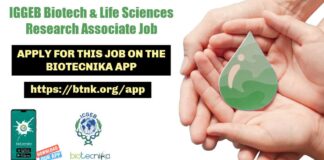 ICGEB RA Job