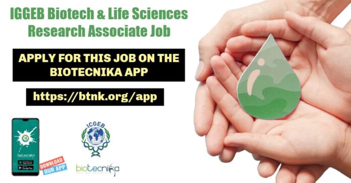 ICGEB RA Job