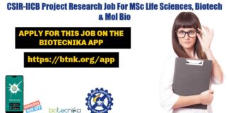 IICB Project Research Job