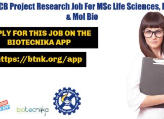 IICB Project Research Job