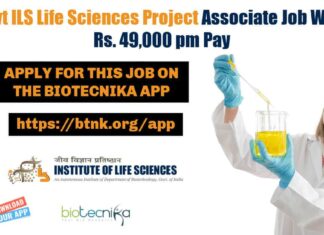ILS Project Associate Job