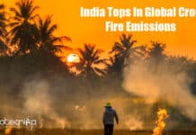 Blue Sky Analytics: India Is Ranked At Top For Global Crop Burning Emissions Indian Crop Burning Emissions