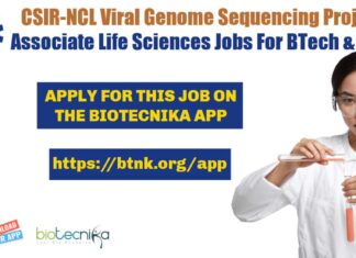NCL Project Associate Jobs