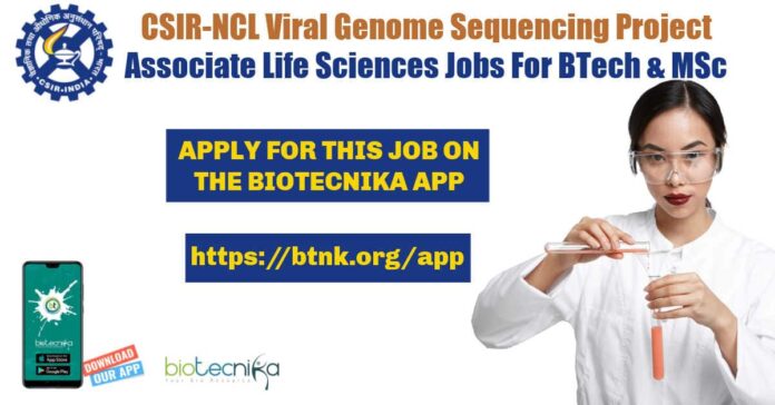 NCL Project Associate Jobs