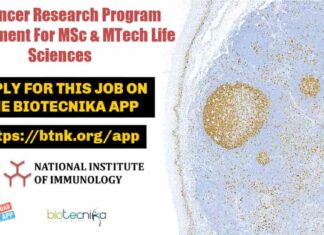 NII Cancer Research Program