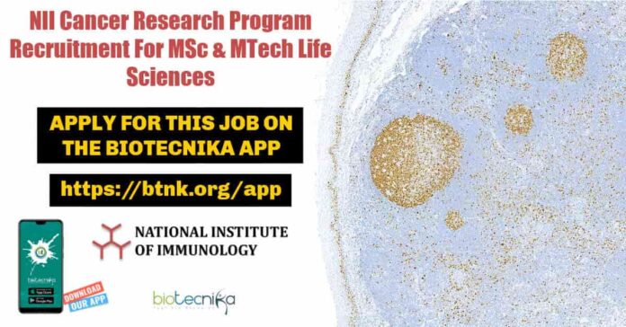 NII Cancer Research Program
