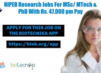 NIPER Research Jobs