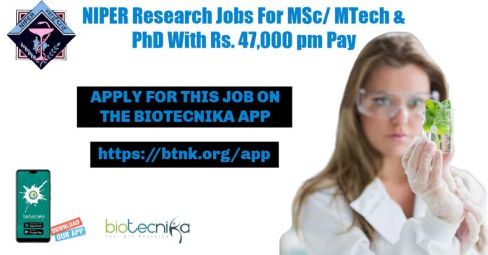 NIPER Research Jobs