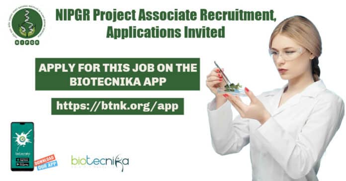 NIPGR Project Associate Recruitment
