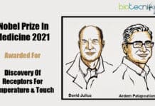 The 2021 Nobel Prize in Medicine or Physiology Awarded For Finding Of Receptors For Touch & Temperature Nobel Prize In Medicine 2021