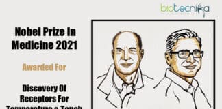 Nobel Prize In Medicine 2021