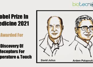Nobel Prize In Medicine 2021