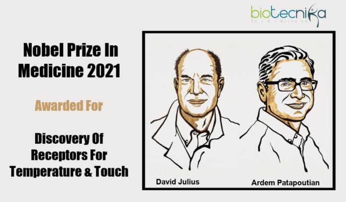 Nobel Prize In Medicine 2021