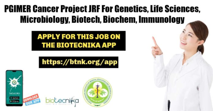 PGIMER Cancer Research Jobs