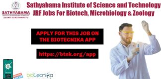 Sathyabama JRF Jobs