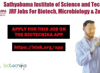 Sathyabama JRF Jobs