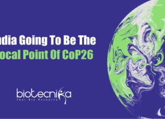 The Central Role In CoP26 Summit